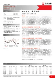 2020年银行业中期策略：云开月明，淘沙取金