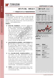 新能源汽车行业中期投资策略报告：海内外共振，拥抱成长