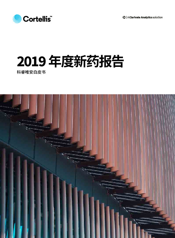 2019年度新药报告