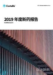 2019年度新药报告