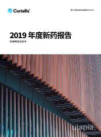 2019年度新药报告