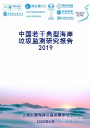 中国若干典型海岸垃圾监测研究报告2019
