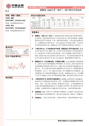 化工专题研究报告：掩膜版：光刻工艺“底片”，国产替代步伐加快