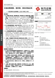 有色钢铁行业周策略（2020年第24周）：无惧短期调整，看好铜、黄金双强走势