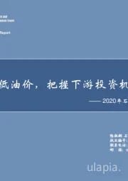 2020年石化行业中期投资策略：适应低油价，把握下游投资机会！