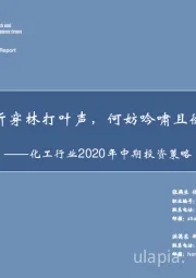 化工行业2020年中期投资策略:莫听穿林打叶声,何妨吟啸且徐行