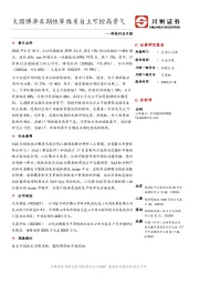 科技行业日报：大国博弈长期性等维系自主可控高景气