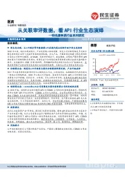 特色原料药行业系列研究：从关联审评数据，看API行业生态演绎