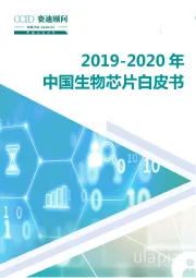 2019-2020年中国生物芯片白皮书