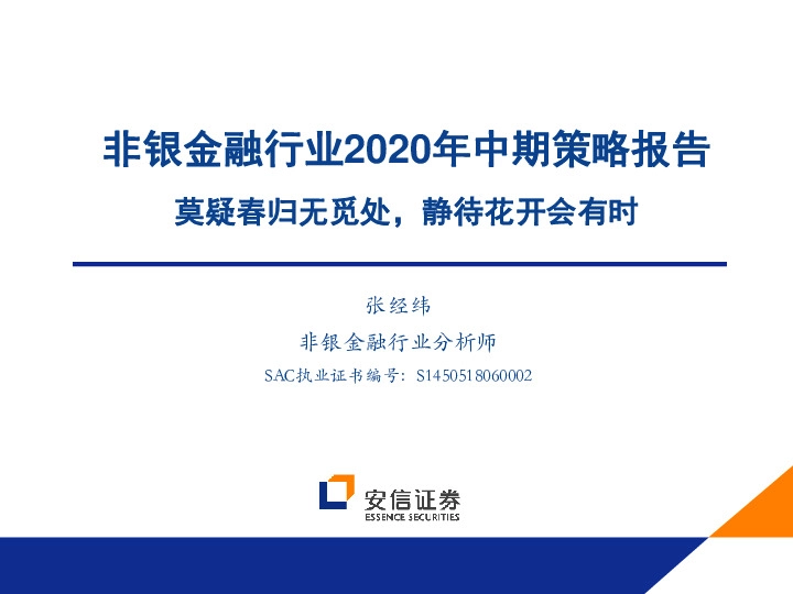 非银金融行业2020年中期策略报告：莫疑春归无觅处，静待花开会有时