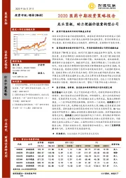 2020医药中期投资策略报告：龙头坚挺，助力挖掘价值重构型公司
