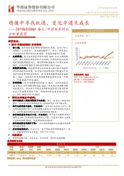 食品饮料：2019&2020Q1海天/中炬报表对比分析兼展望：稳健中寻找机遇，变化中遇见成长