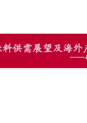 硅料专题研究之一:硅料供需展望及海外产能退出影响