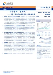 计算机：重塑中国数字底座系列报告之数据库篇-少年中国“甲骨文”