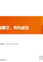 电气设备行业深度研究：思摩尔：大国雾匠，乘风破浪