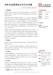 石油化工行业周报：油价及政策推动石化行业发展