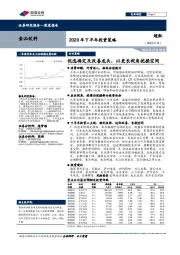 食品饮料2020年下半年投资策略：优选确定及改善龙头，以更长视角挖掘空间