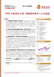 PVC糊树脂行业报告：PVC手套需求大增，糊树脂价格步入上行通道