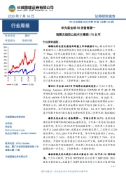 TMT行业周报2020年第20期（总第104期）：华为居全球5G设备商第一 我国无线空口技术方案获ITU认可