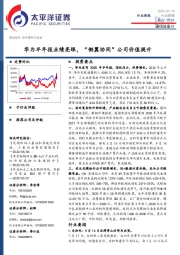 通信设备Ⅲ行业周报：华为半年报业绩亮眼，“侧翼协同”公司价值提升