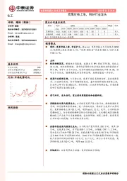 化工行业点评报告：炭黑价格上涨，利好行业龙头