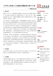 能源行业日报：上半年山东规上工业煤炭消费量同比降12.9%
