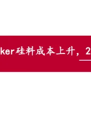 硅料专题研究之二:Wacker硅料成本上升,22年底前或退出