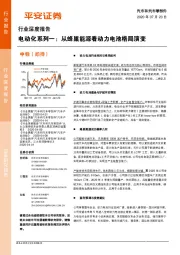 汽车和汽车零部件行业深度报告：电动化系列一：从蜂巢能源看动力电池格局演变