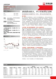 区域性银行战略研究（四）：资本补充深度研究-夯实资本实力，中小行改革正当时