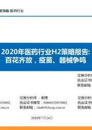 2020年医药行业H2策略报告：百花齐放，疫苗、器械争鸣