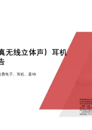 2020年中国TWS（真无线立体声）耳机行业精品报告