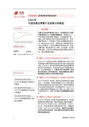2019年中国消费及零售产业政策分析概览