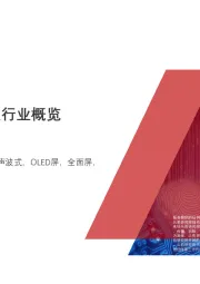 2020年中国屏下指纹行业概览