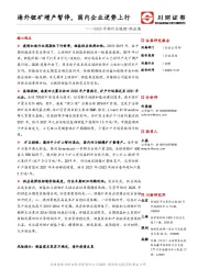 2020年锂行业梳理-供应篇：海外锂矿增产暂停，国内企业逆势上行