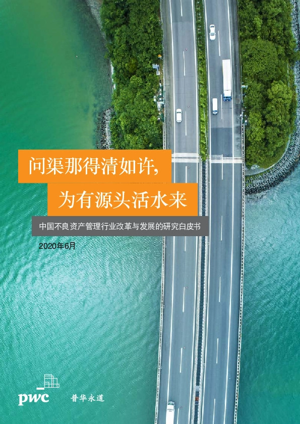 中国不良资产管理行业改革与发展的研究白皮书:问渠那得清如许,为有源头活水来