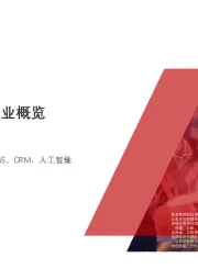 2019年中国营销云行业概览