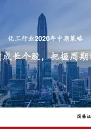 化工行业2020年中期策略：掘金优质成长个股，把握周期白马龙头