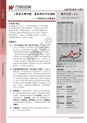计算机行业专题报告:二季度业绩回暖,基金持仓仍为超配
