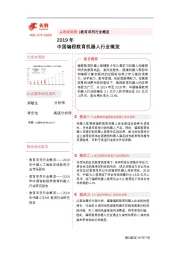 教育系列行业概览：2019年中国编程教育机器人行业概览