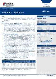 光伏行业重大事项点评：平价有序接力，光伏成长开启