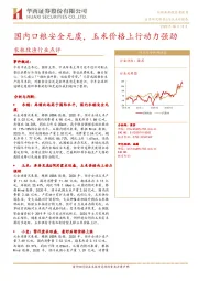 农林牧渔行业点评报告：国内口粮安全无虞，玉米价格上行动力强劲