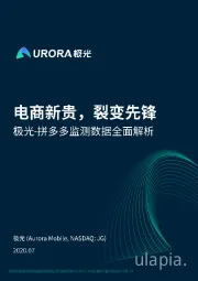 拼多多监测数据全面解析：电商新贵，裂变先锋