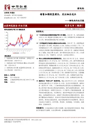 锂电池行业月报：销售如期恢复增长，关注细分龙头