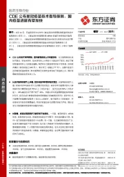 医药生物行业：CDE公布新冠疫苗技术指导原则，国内疫苗进展有望加快