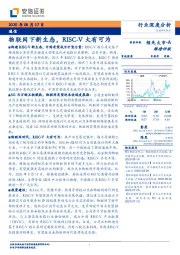 通信行业深度分析：物联网下新生态，RISC-V大有可为