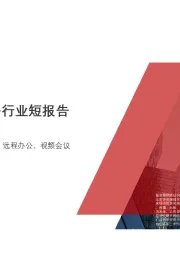 2020年中国远程办公行业短报告
