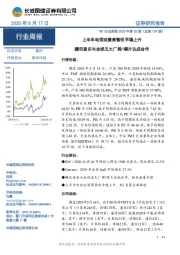 TMT行业周报2020年第25期（总第109期）：上半年电信运营商营收平稳上升 腾讯音乐与全球五大厂牌/唱片达成合作