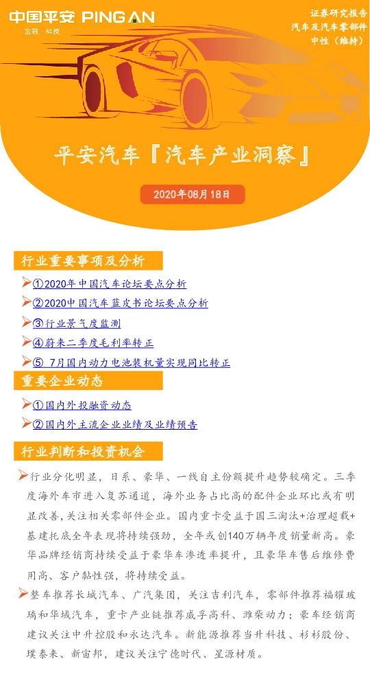 平安汽车『汽车产业洞察』
