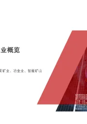 2020年中国锰矿石行业概览