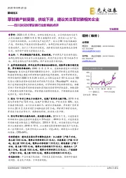 四川洪灾对草甘膦行业影响的点评:草甘膦产能受限,供给下滑,建议关注草甘膦相关企业